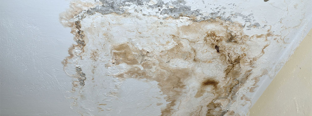 Solareno isole votre habitat contre l'humidité